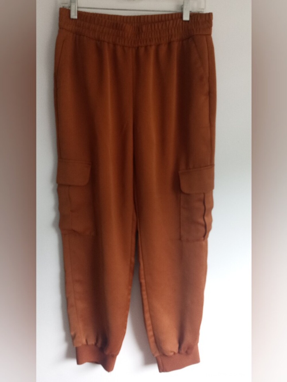 Banana Republic Rust Cargo Joggers
